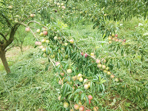 BETWAY(ķ)ٷվ-Official Platform