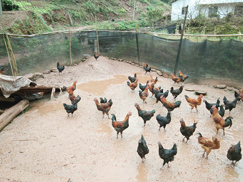 BETWAY(ķ)ٷվ-Official Platform