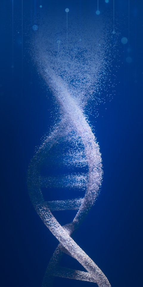 BETWAY(ķ)ٷվ-Official Platform