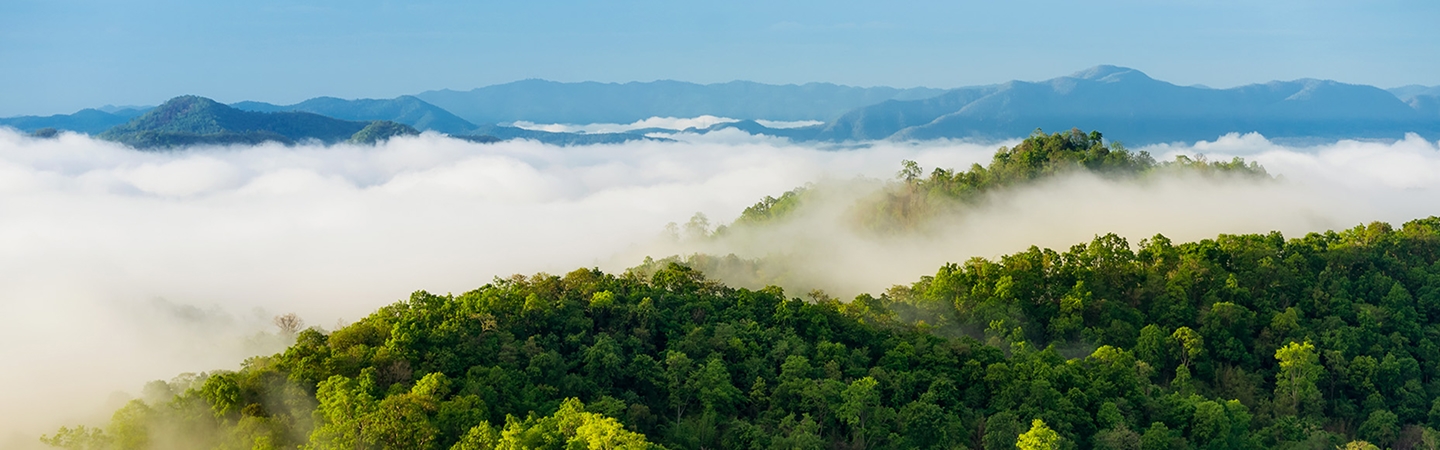 BETWAY(ķ)ٷվ-Official Platform