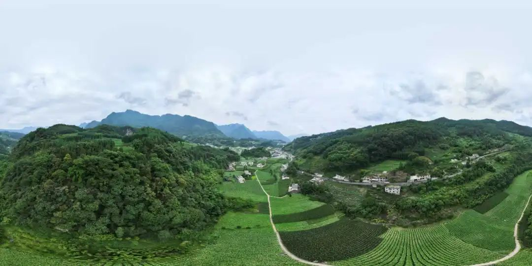 BETWAY·必威(西汉姆联)官方网站-Official Platform